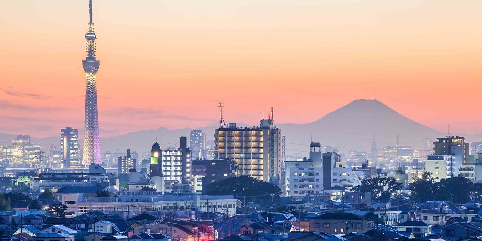 東京疫情最新人數(shù)，自然療愈與內(nèi)心平靜的尋找之旅